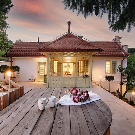 Vila Vilma Vineyard Cottage Lendava Luaran gambar