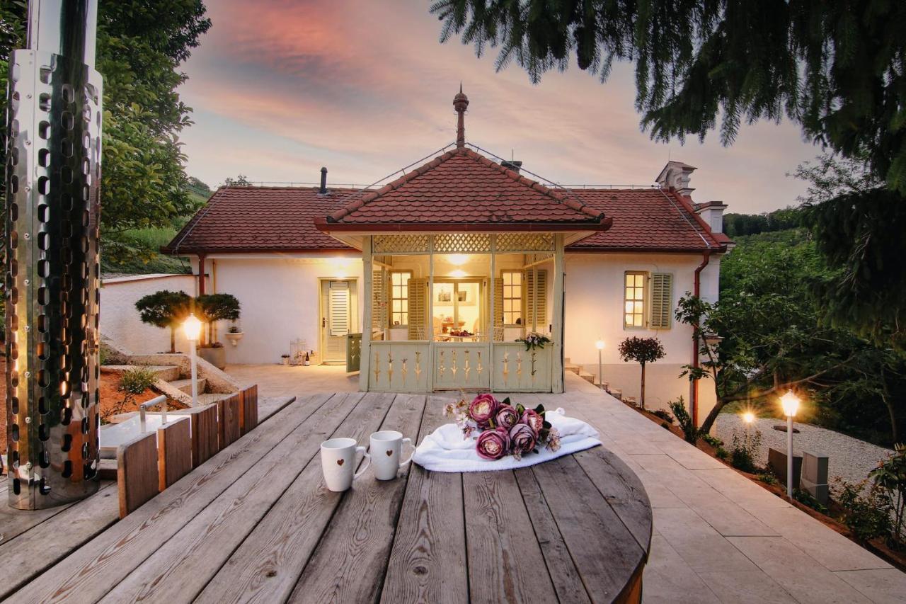 Vila Vilma Vineyard Cottage Lendava Luaran gambar